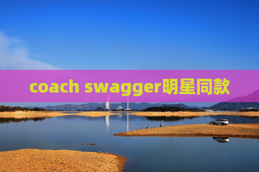 coach swagger明星同款